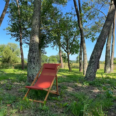Hozho Tempo -sous Les Toits, Espace Loft Ecofriendly & Slowlife Avec Petit-dejeuner Guest house